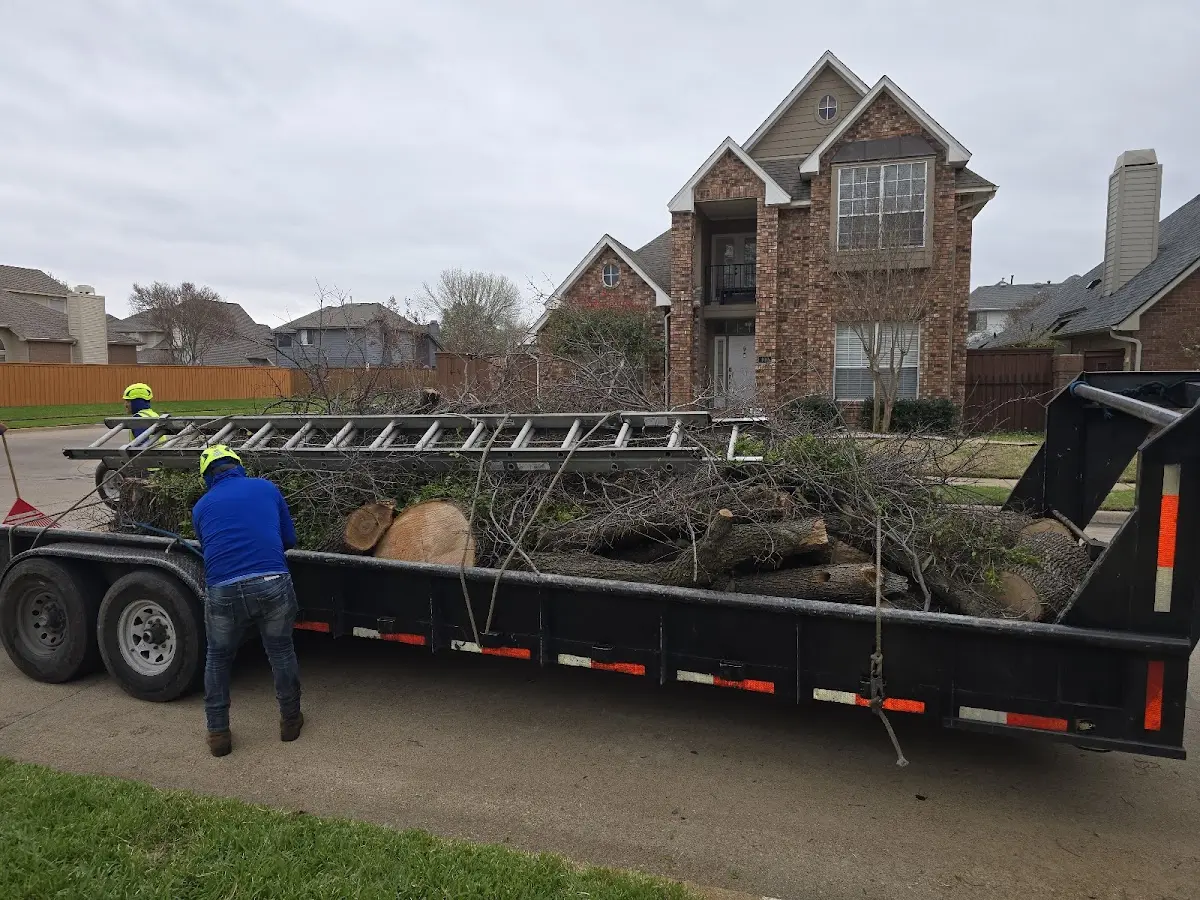 Expert Lot Clearing with proper safety equipment in Rowdy